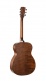 Guitare Luce L60MF Naturel Fishman