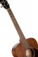Guitare Luce L60MF Naturel Fishman