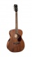 Guitare Luce L60MF Naturel Fishman