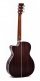 Omtc-1E-Sb Gloss Sunburst