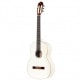 4-4 R121 SPRUCE SLIM NECK WHITE