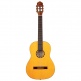Guitare Flamenco R170F