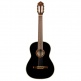 4-4 R221 Spruce Black