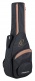 Guitare R125 Epicea Sillet 48, Eq