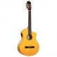 GUITARE FLAMENCO RCE170F