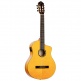 Guitare Flamenco Rce170F