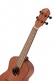 Ukulele Concert Rfeu-2 Acajou