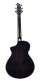 Rainforest S Concert Orchid Ce