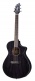 Rainforest S Concert Orchid Ce