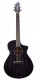 Rainforest S Concert Orchid Ce