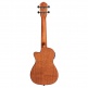 Ukulele Concert Acajou CW EQ