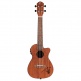 Ukulele Concert Acajou CW EQ