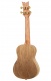 Ukulele Concert Serie Art Birds
