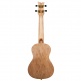 Ukulele Concert Element Noir
