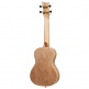 Ukulele Concert Element Noir