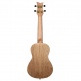 Ukulele Concert Element Bleu