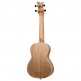 Ukulele Concert Element Bleu
