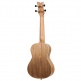 Ukulele Concert Element Rouge