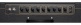 AC15 C1X Blue Alnico