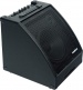 D30BT 30W