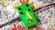 DD30 Dookie Drive 30th Anniversary LTD