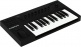 Komplete Kontrol A25