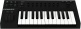 Komplete Kontrol A25