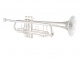 STRADIVARIUS 180SML 37/25 SILVER