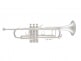 STRADIVARIUS 180SML 37/25 SILVER