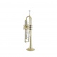 19043 Stradivarius - Sib Vernie