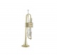 19043 Stradivarius - Sib Vernie