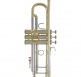19043 Stradivarius - Sib Vernie