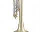 19043 Stradivarius - Sib Vernie