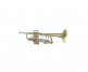 19043 Stradivarius - Sib Vernie