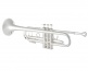 190S43 Stradivarius - Sib Argentée