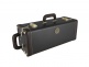 190S37 Stradivarius - Sib Vernie