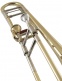 42af Stradivarius - Ténor Complet Verni (infinity)