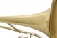 VT501 - TENOR SIMPLE VERNI