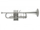 C180L 239/25C STRADIVARIUS SILVER