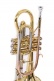 CR651 - Sib Verni