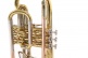 CR651 - Sib Verni