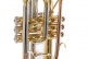 CR651 - Sib - LACADO 