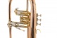 FH501 - Sib Cuivre Rose