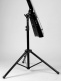 CONTRABASSE ELECTRIC 5 STRINGS SATIN BLACK