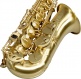 A420-II Alto Mib Brossé Verni