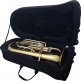 EU50 SAXHORN - 4 VALVOLE