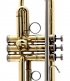 New Standard Sib Vernie - BE111-1-0