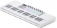 Launchkey Mini 37 MK4 White