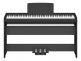 P-145 Pack Deluxe