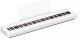 P-225 Blanc Pack Stand